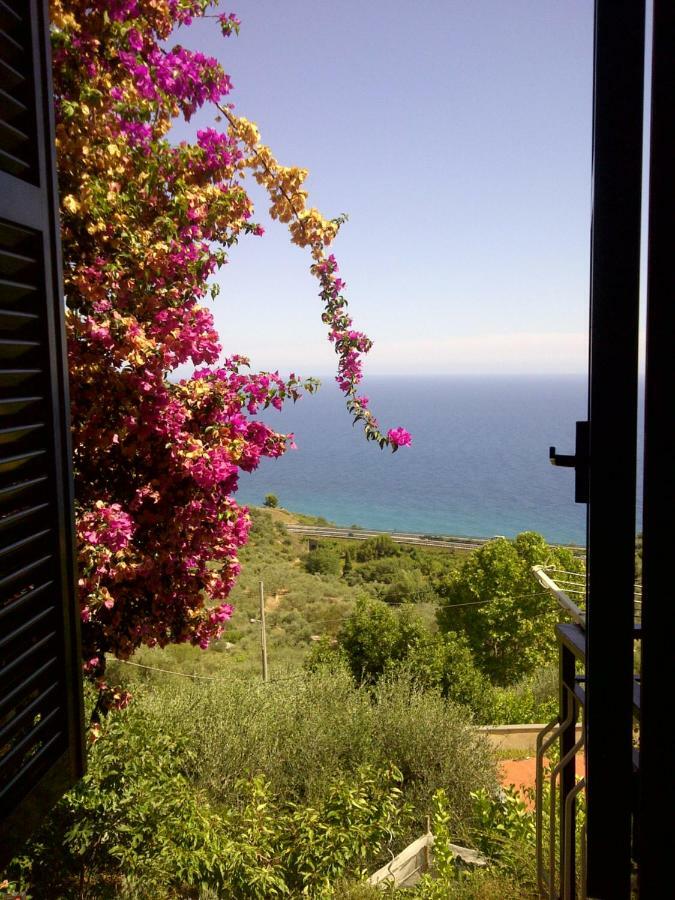 Risorgimento Apartment Cipressa Exterior photo